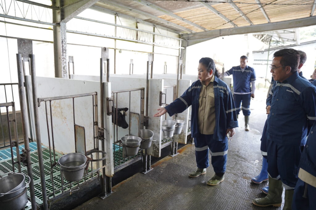 Ketua Komisi IV Siti Hediati Hariyadi saat mengunjungi peternakan PT Greenfields Indonesia di Kabupaten Malang, Jawa Timur, Kamis (11/12/2025). /DPR-Aurel