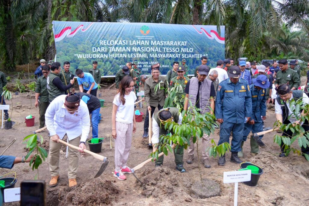 Proses relokasi masyarakat yang bermukim di dalam kawasan Taman Nasional Tesso Nilo (TNTN), Sabtu (20/12/2025). /BPN