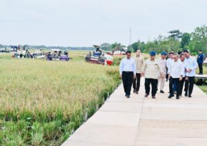 Presiden Prabowo Subianto memantau panen raya di Desa Kertamukti, Kabupaten Karawang, Jawa Barat, Rabu (7/1/2026). /BPMI