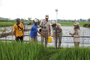 Petugas ATR/BPN sedang mengukur tanah. ATR/BPN memastikan informasi pemutihan sertipikat tanah tidak benar dan mengimbau masyarakat waspada. /BPN 