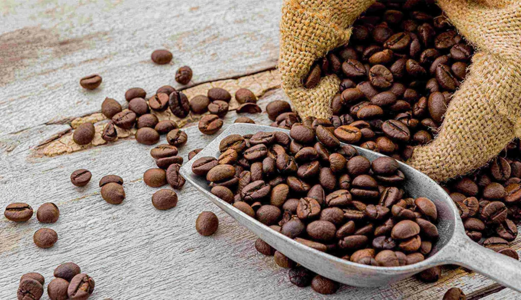 AEKI dorong pemerintah urai hambatan ekspor kopi olahan. Beban bea masuk green bean dan produktivitas kebun jadi kunci utama lipat ganda devisa. /Nescafe