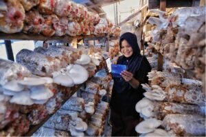Survei BRI rilis Indeks Bisnis UMKM Q2-2026 sebesar 102,1. Dirut BRI Hery Gunardi sebut UMKM ekspansif walau bayang-bayang El Nino dan daya beli melandai. /BRI