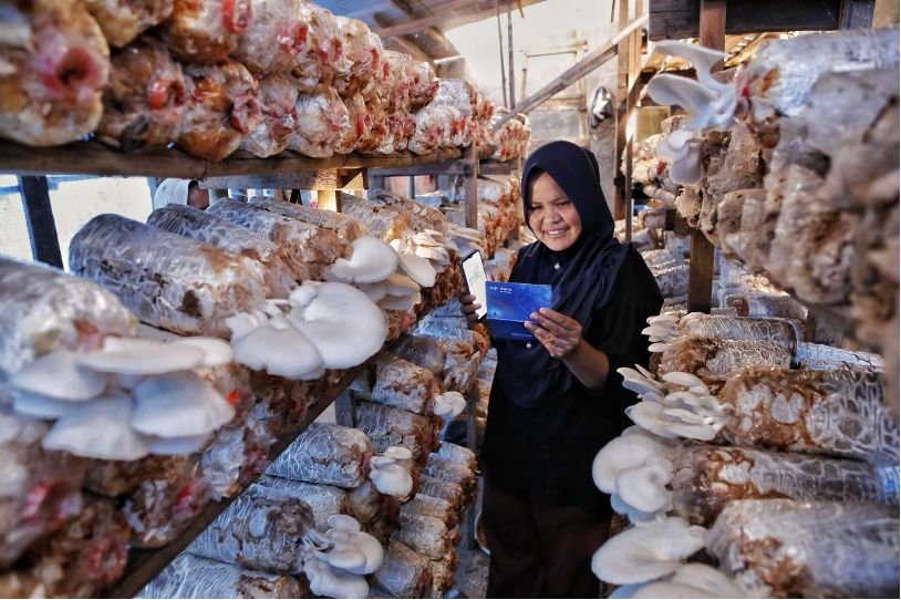 Survei BRI rilis Indeks Bisnis UMKM Q2-2026 sebesar 102,1. Dirut BRI Hery Gunardi sebut UMKM ekspansif walau bayang-bayang El Nino dan daya beli melandai. /BRI